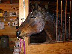 2007_0115BQ