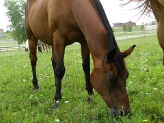 2007_0810AQ