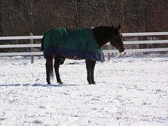 2008_0223AH
