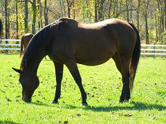 2008_1011AG