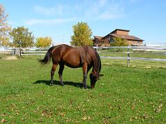 2008_1011AW