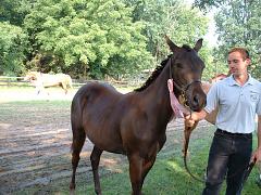 2004_0829AH