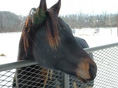 2005_0129AT