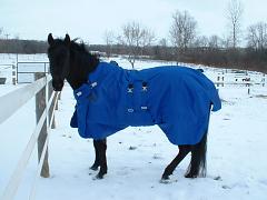 2007_0126AF