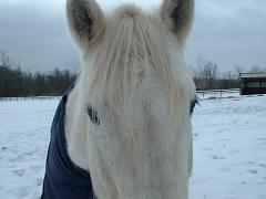 2007_0126AE