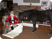 Eddie and Jake with Santa