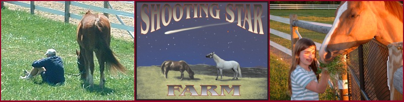 Pat with
          Skipper, and Gillian feeding Nick